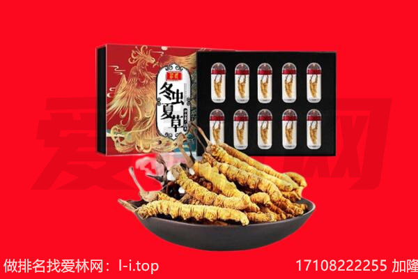 天津市回收虫草.jpg